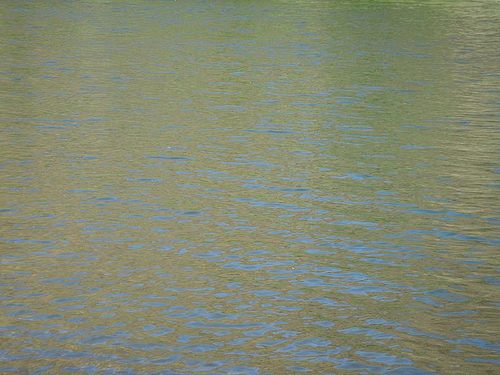 reflections of light and color on water
