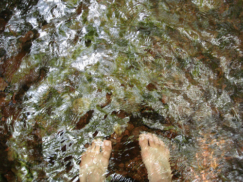 Feet in icy water
