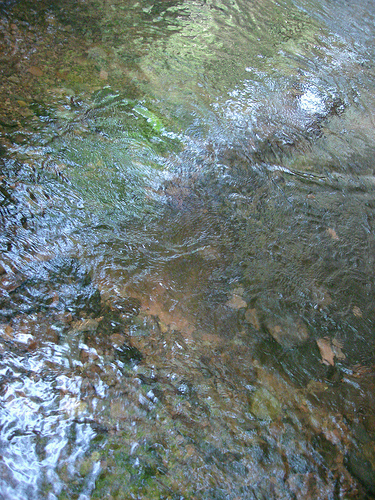 Mid-summer water surface