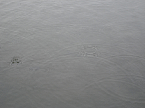 ripples of water on a cloudy day