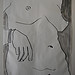 torso, contour drawing, older woman