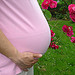 round pregnant belly and a sprig of roses
