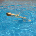 Girl swimming in a blue pool