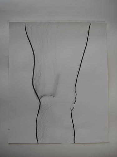 Drawing of the back of the knee