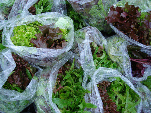 Rainy bags of lettuce