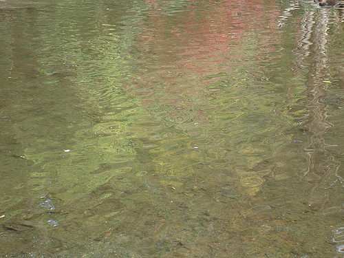 fall colors reflected on rippled water