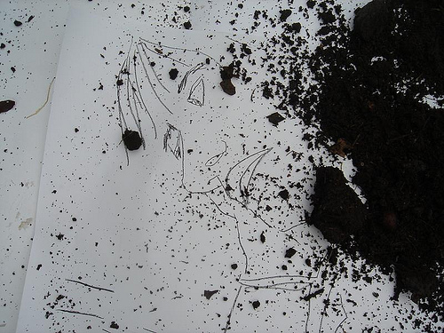 Drawing of a face covered with dirt