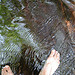 My feet in water's reflections